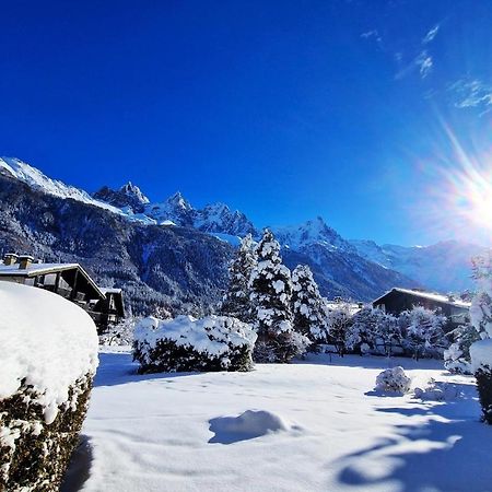 Chamonix Appartement Vue Mont Blanc Avec Jardin Екстериор снимка