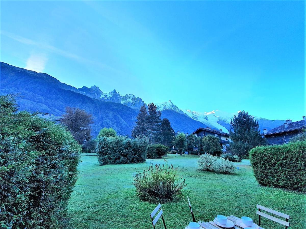 Chamonix Appartement Vue Mont Blanc Avec Jardin Екстериор снимка