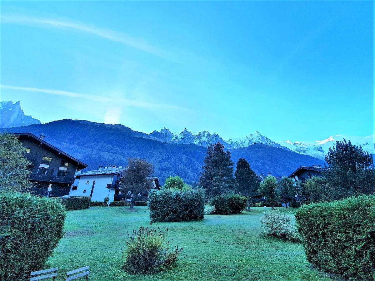 Chamonix Appartement Vue Mont Blanc Avec Jardin Екстериор снимка